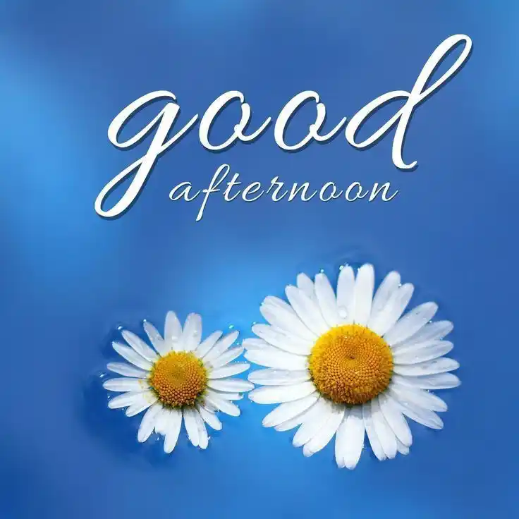 good-afternoon-images