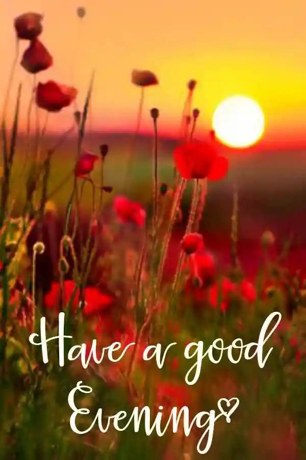 good-evening-images-for-whatsapp