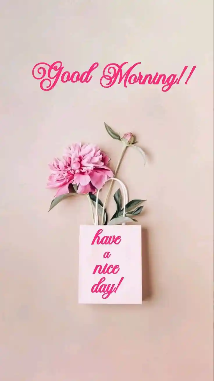 good-morning-flower-images