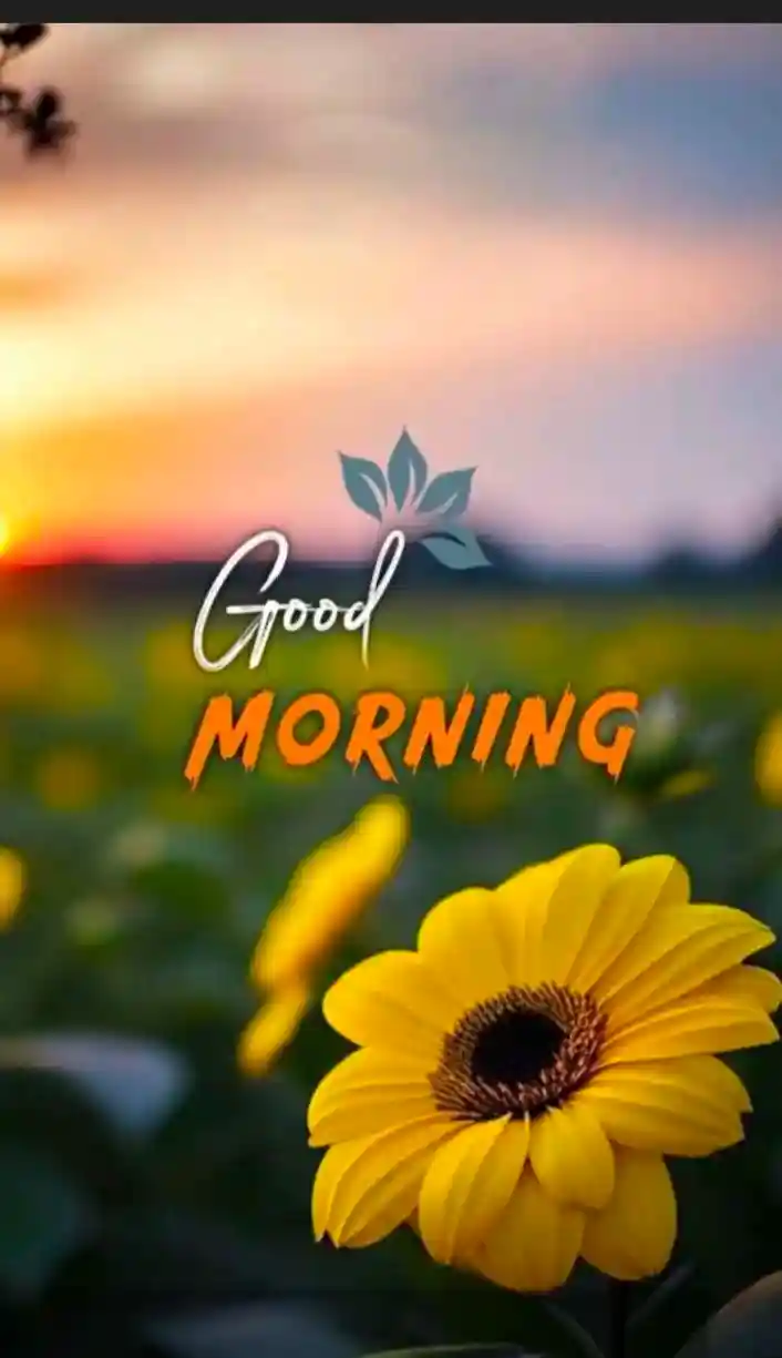 good-morning-images-for-whatsapp