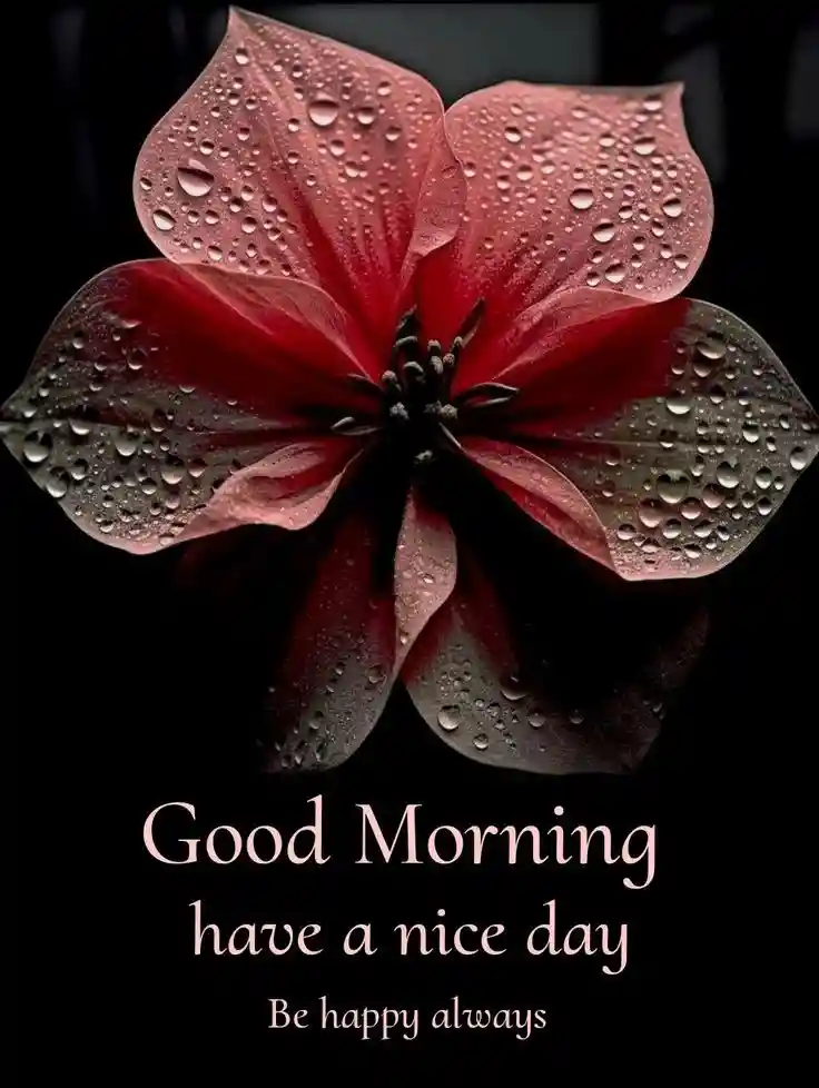 good-morning-pictures