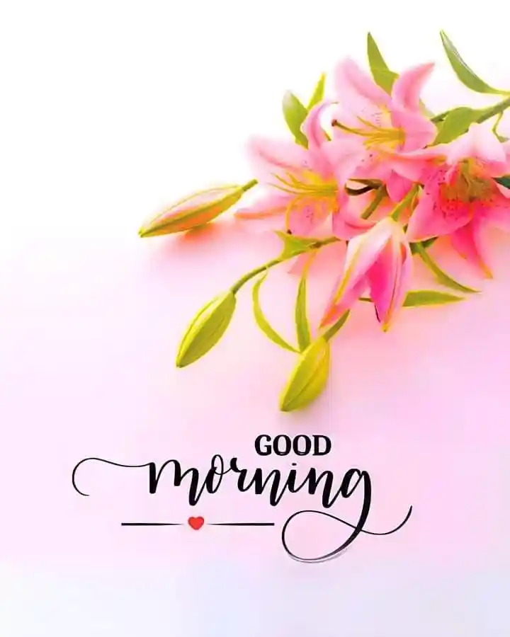 instagram-good-morning-images