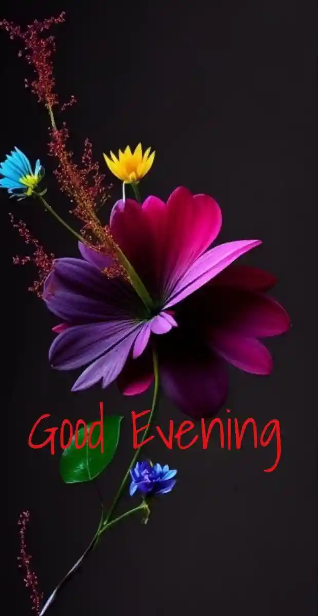 kiss-romantic-good-evening-images