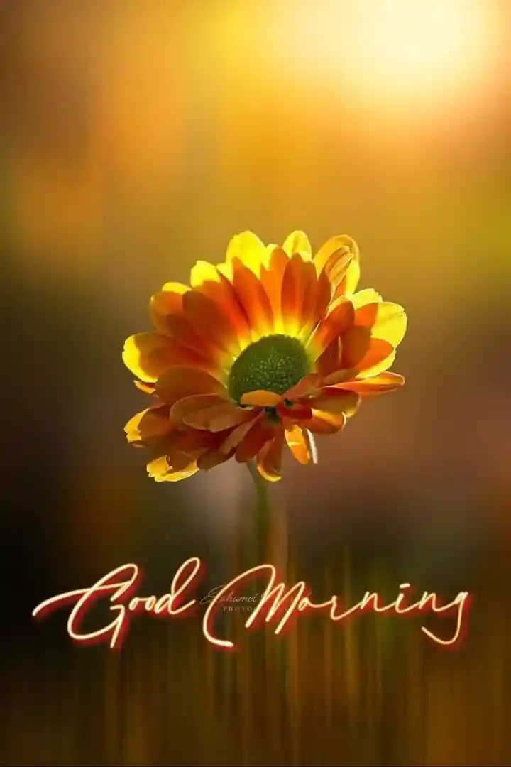 kiss-romantic-good-morning-images