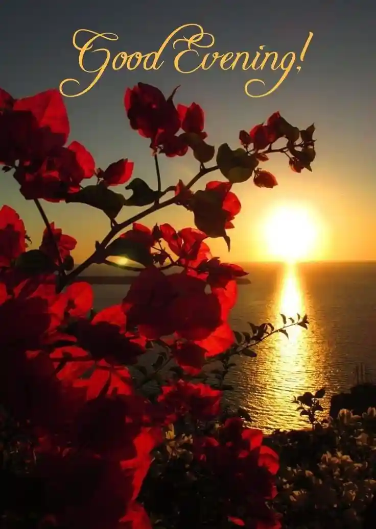 lgood-evening-love-images