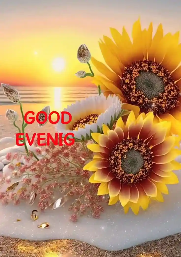 lgood-evening-love-images