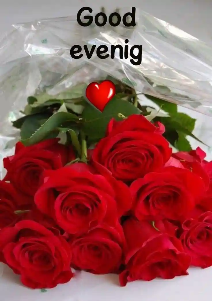 lgood-evening-love-images