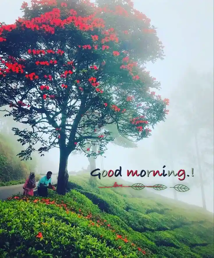 new-good-morning-images